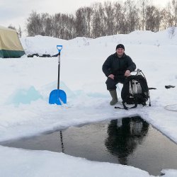 Поездки